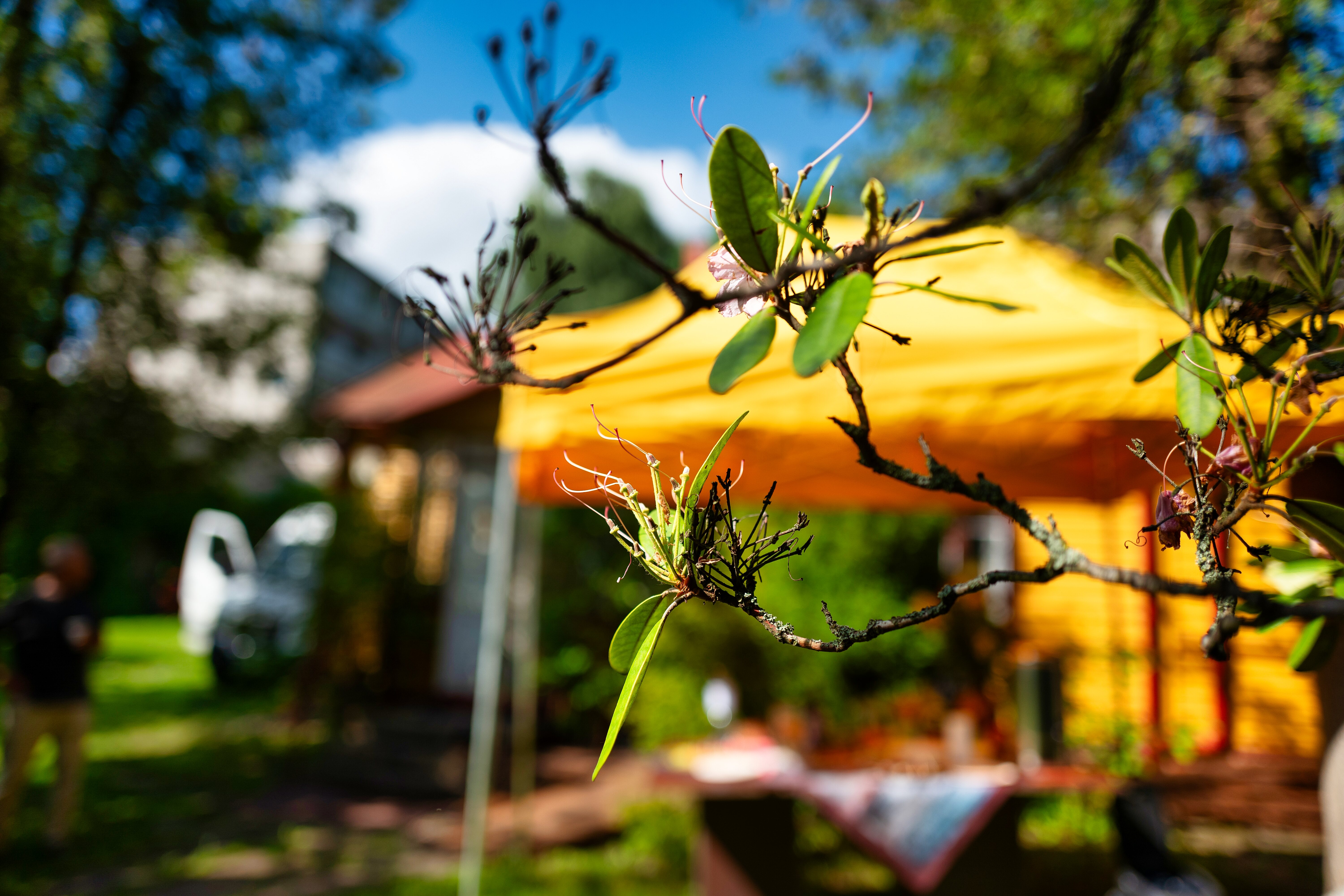 Festivalis „Šančiai Inn Jazz'26“, 2026 m.