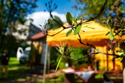 Festivalis „Šančiai Inn Jazz'26“, 2026 m.